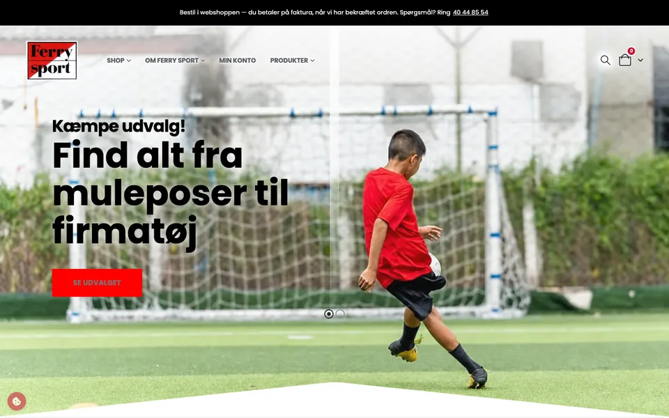 ferrysport.dk — genoplivning af webshoppen